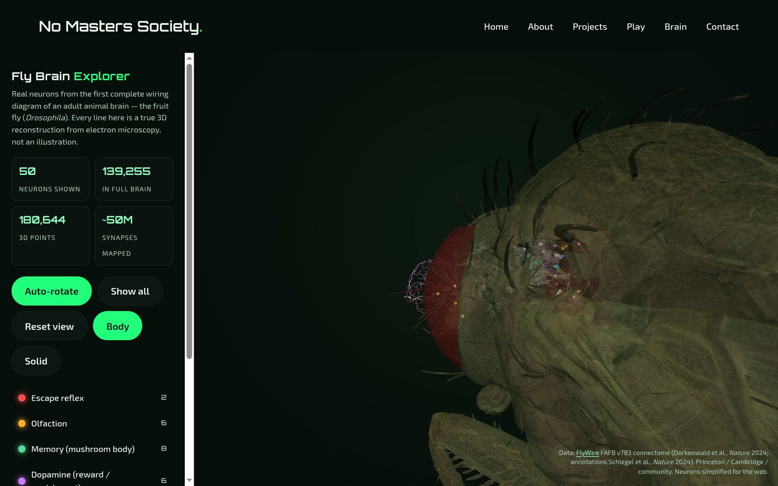 Screenshot of the Fly Brain Explorer 3D view
